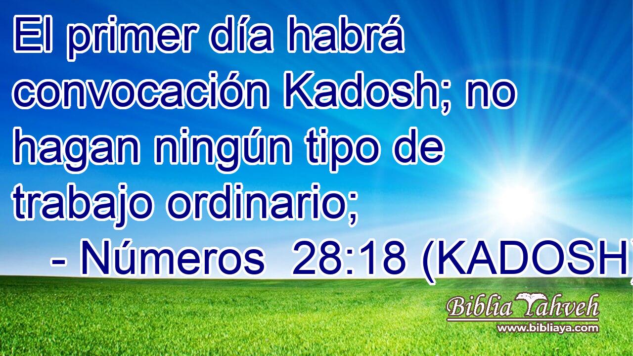  El primer día habrá convocación Kadosh; no hagan ningún tipo de trabajo ordinario; 