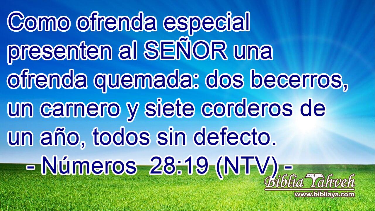 Como ofrenda especial presenten al SEÑOR una ofrenda quemada: dos becerros, un carnero y siete corderos de un año, todos sin defecto.