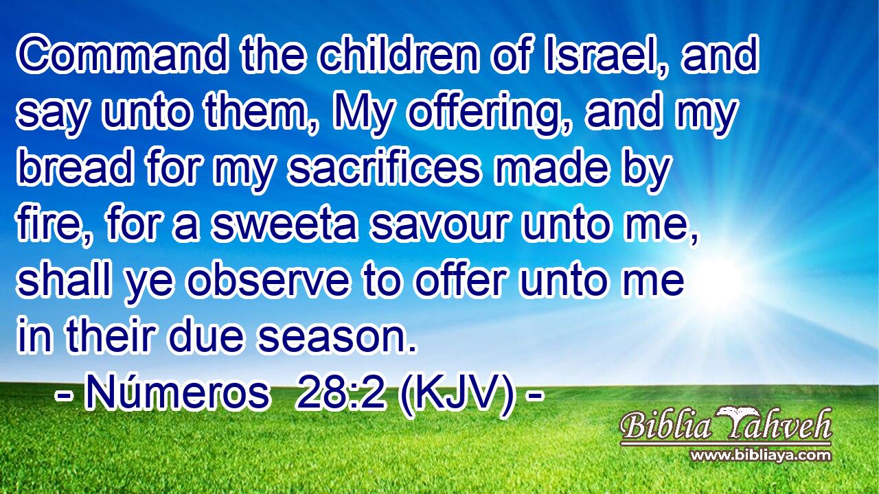 Command the children of Israel, and say unto them, My offering, and my bread for my sacrifices made by fire, for a sweeta savour unto me, shall ye observe to offer unto me in their due season.