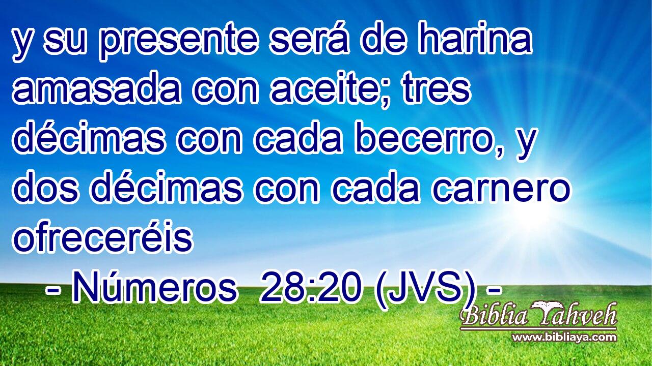 y su presente será de harina amasada con aceite; tres décimas con cada becerro, y dos décimas con cada carnero ofreceréis