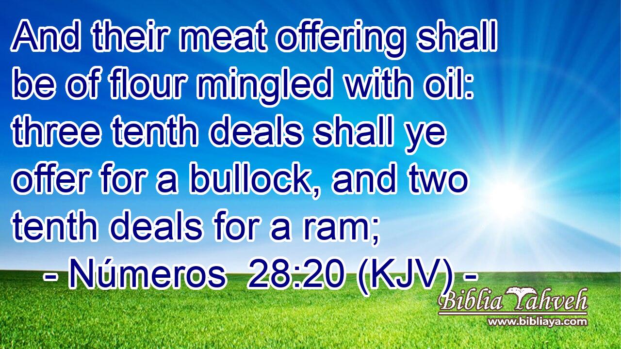 And their meat offering shall be of flour mingled with oil: three tenth deals shall ye offer for a bullock, and two tenth deals for a ram;