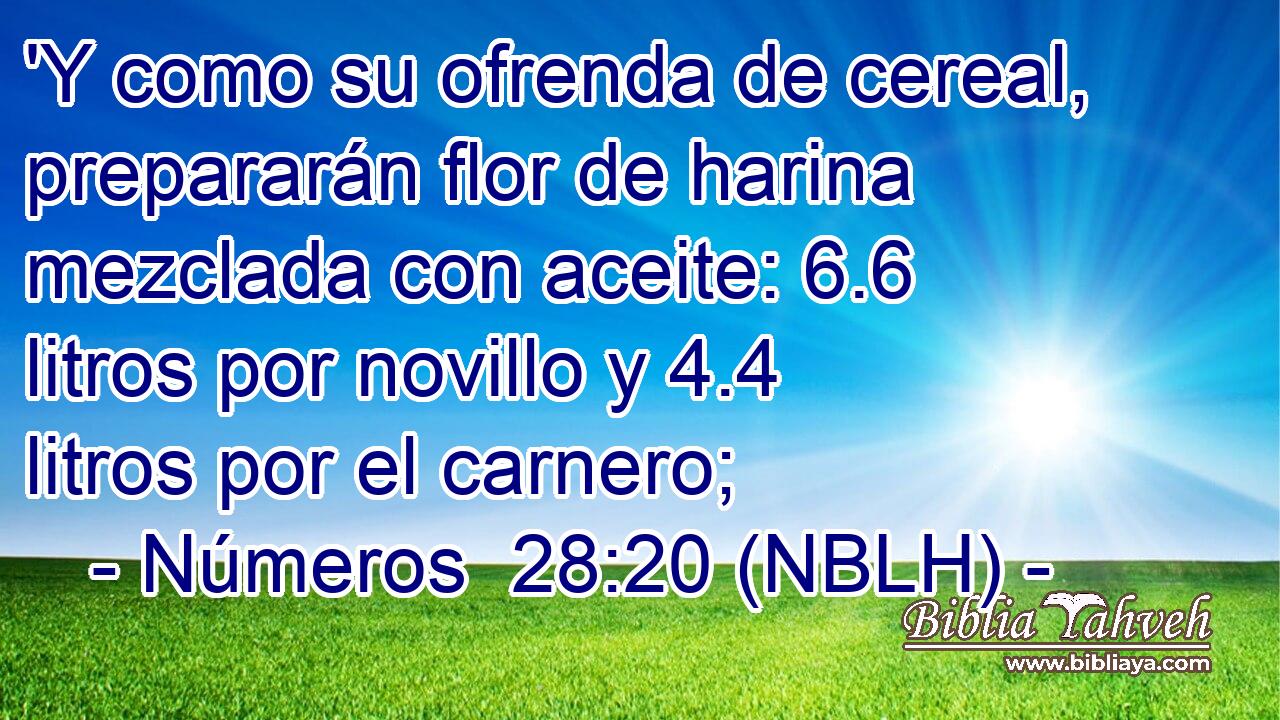  'Y como su ofrenda de cereal, prepararán flor de harina mezclada con aceite: 6.6 litros por novillo y 4.4 litros por el carnero; 