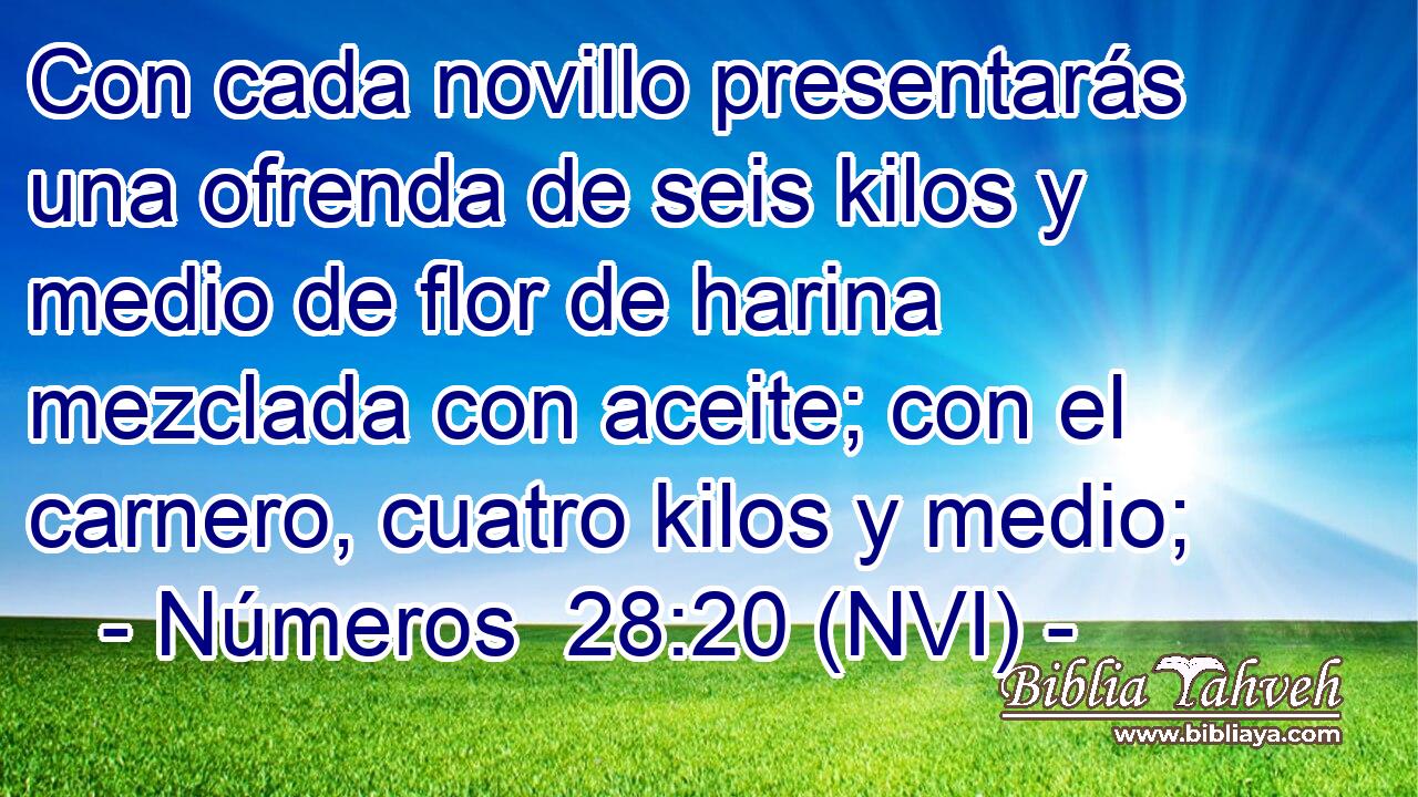  Con cada novillo presentarás una ofrenda de seis kilos y medio de flor de harina mezclada con aceite; con el carnero, cuatro kilos y medio; 