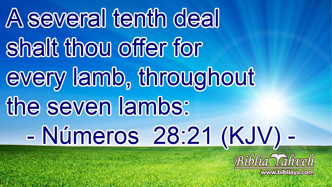 A several tenth deal shalt thou offer for every lamb, throughout the seven lambs: