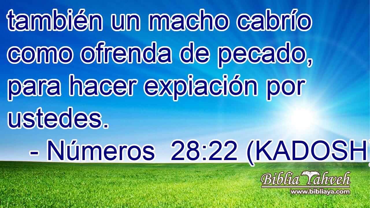  también un macho cabrío como ofrenda de pecado, para hacer expiación por ustedes. 