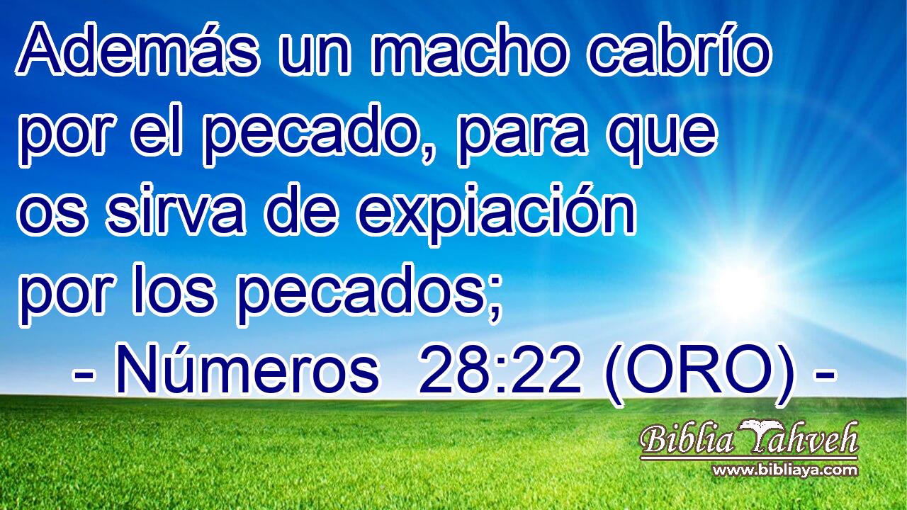  Además un macho cabrío por el pecado, para que os sirva de expiación por los pecados; 
