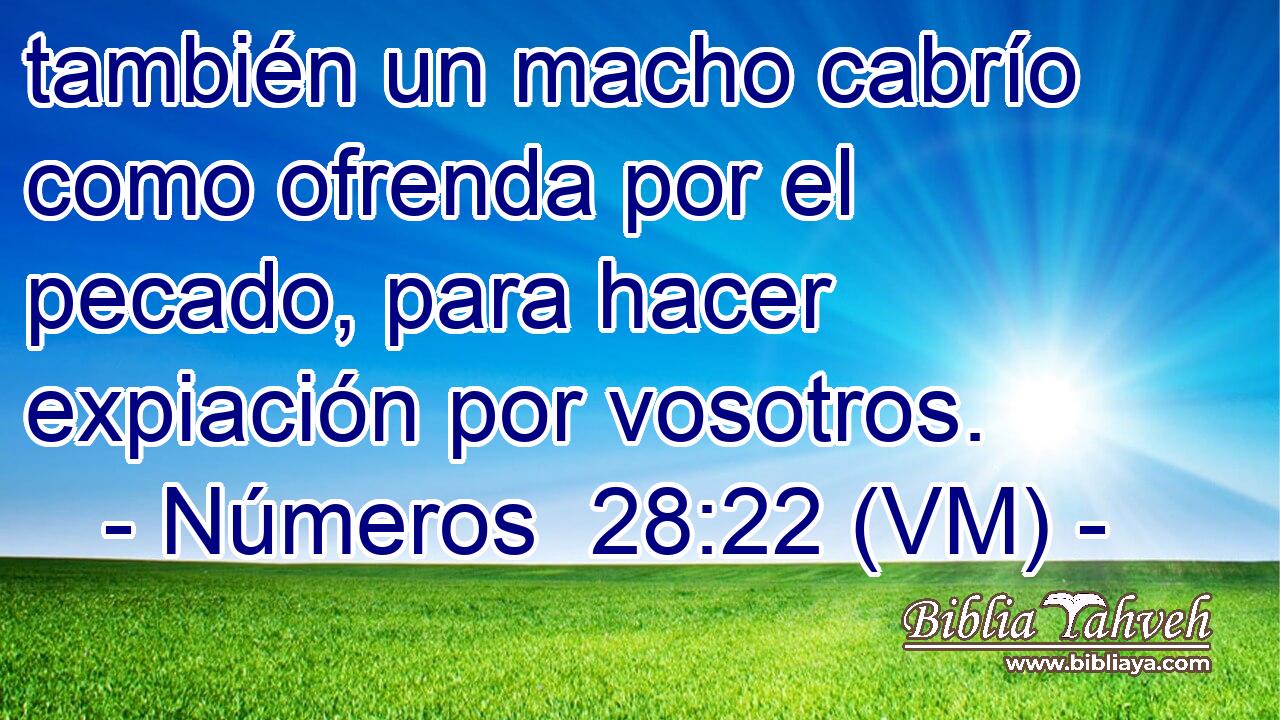  también un macho cabrío como ofrenda por el pecado, para hacer expiación por vosotros. 