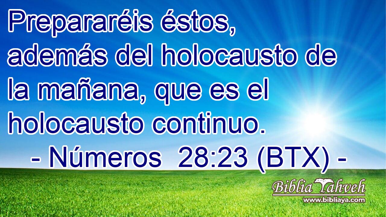Prepararéis éstos, además del holocausto de la mañana, que es el holocausto continuo.
