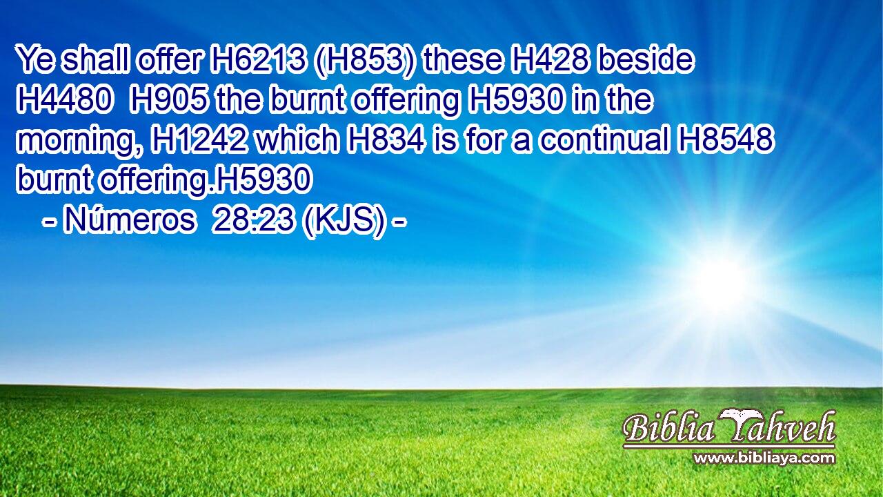 Ye shall offer H6213 (H853) these H428 beside H4480  H905 the burnt offering H5930 in the morning, H1242 which H834 is for a continual H8548 burnt offering.H5930