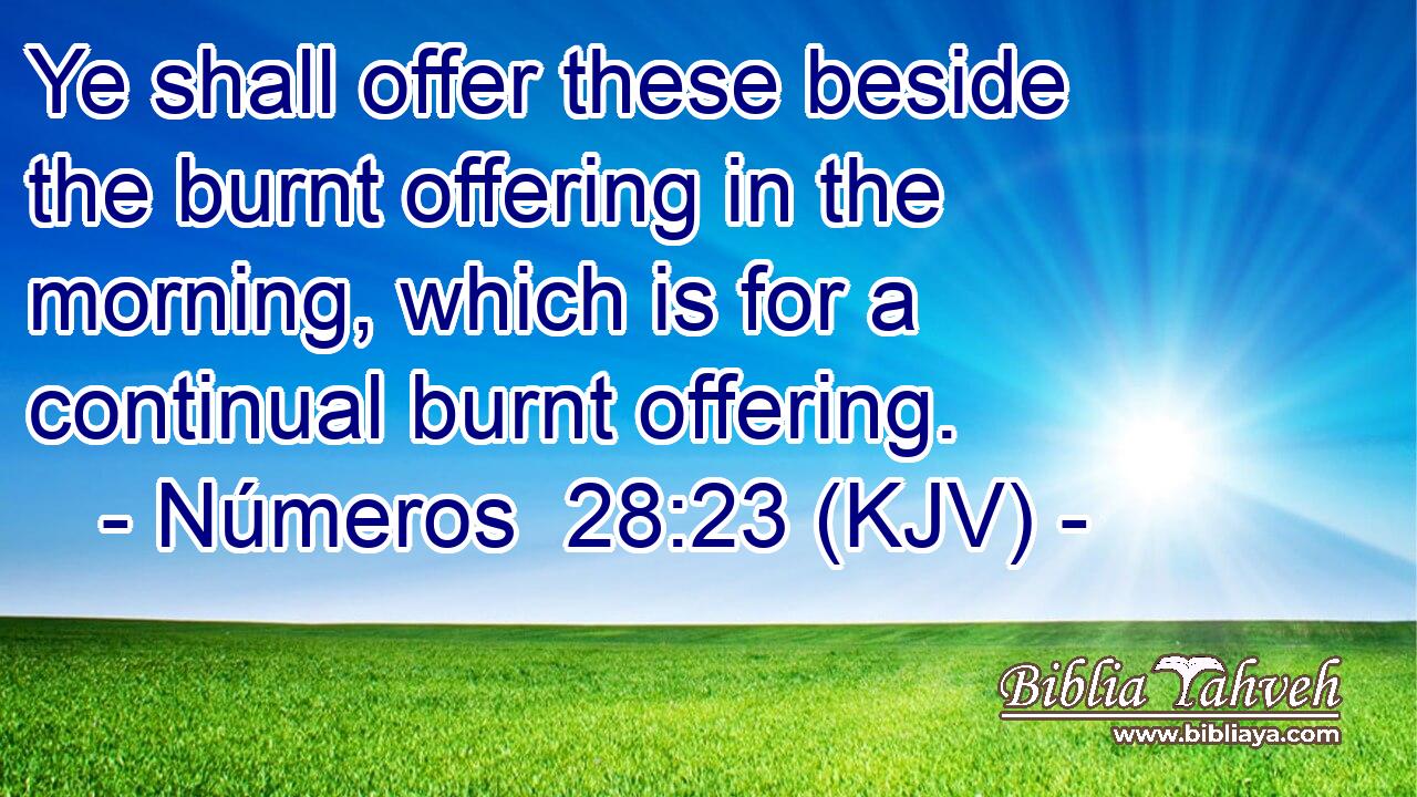 Ye shall offer these beside the burnt offering in the morning, which is for a continual burnt offering.