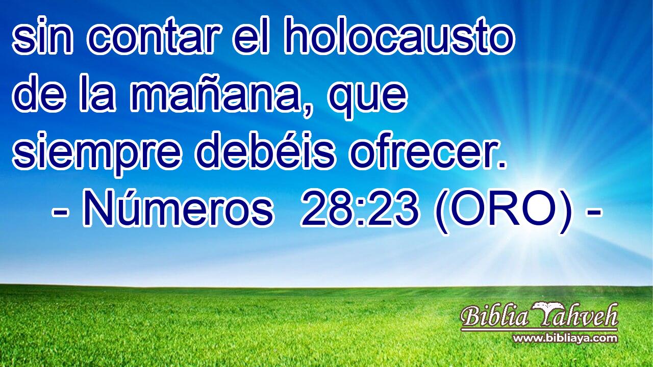  sin contar el holocausto de la mañana, que siempre debéis ofrecer. 