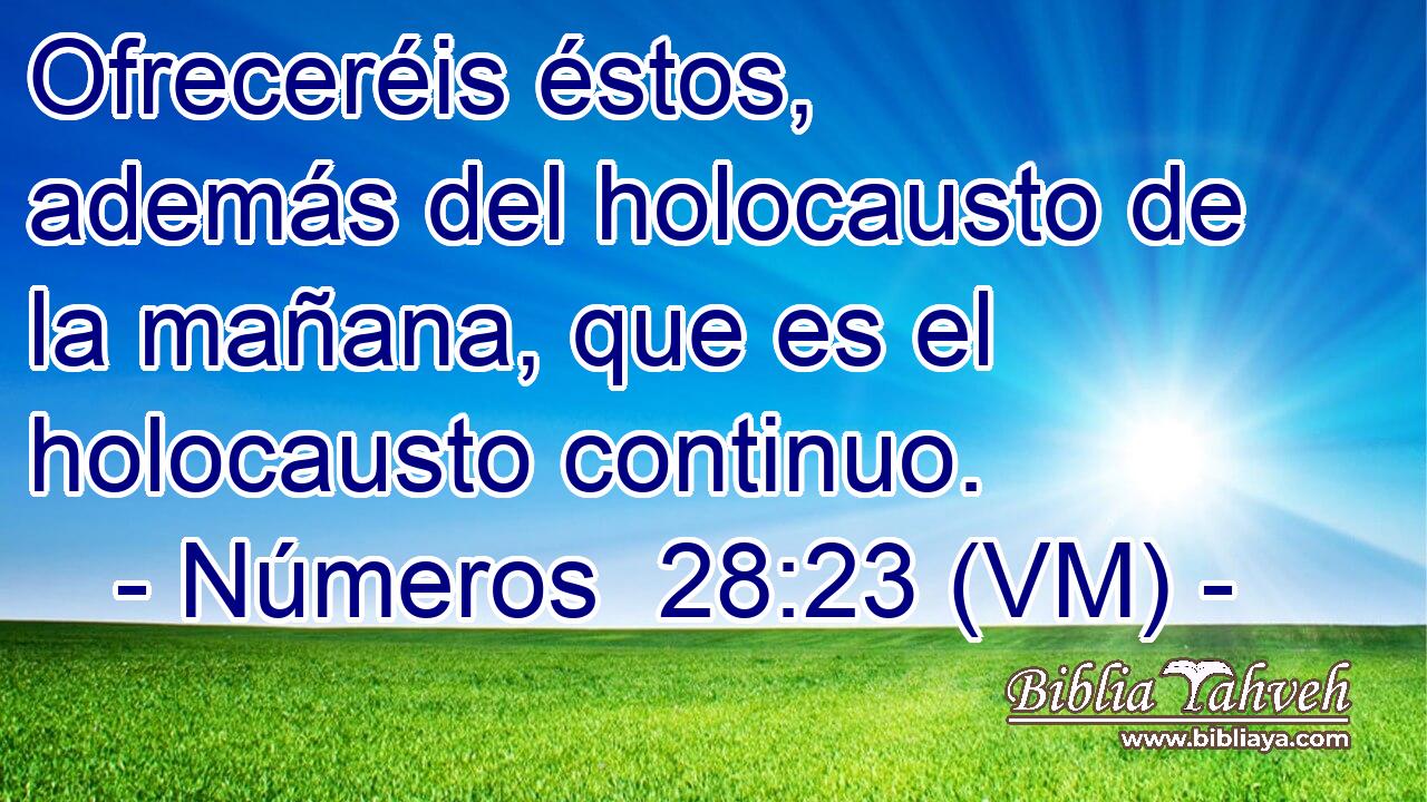  Ofreceréis éstos, además del holocausto de la mañana, que es el holocausto continuo. 