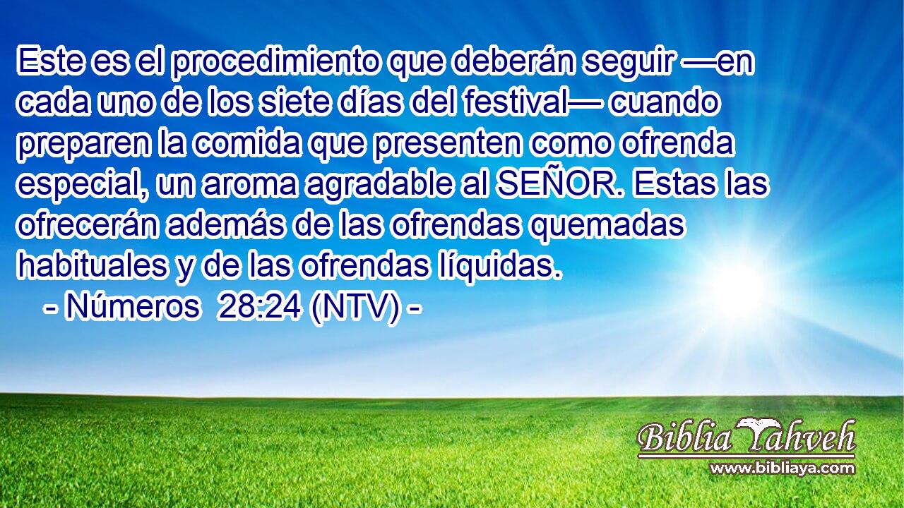 Este es el procedimiento que deberán seguir —en cada uno de los siete días del festival— cuando preparen la comida que presenten como ofrenda especial, un aroma agradable al SEÑOR. Estas las ofrecerán además de las ofrendas quemadas habituales y de las ofrendas líquidas.