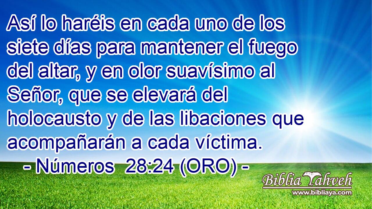  Así lo haréis en cada uno de los siete días para mantener el fuego del altar, y en olor suavísimo al Señor, que se elevará del holocausto y de las libaciones que acompañarán a cada víctima. 