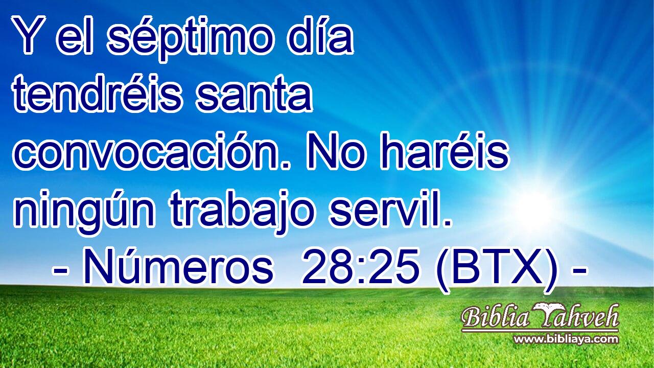 Y el séptimo día tendréis santa convocación. No haréis ningún trabajo servil.