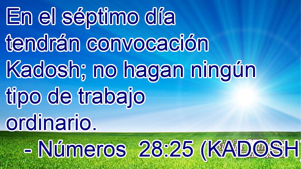  En el séptimo día tendrán convocación Kadosh; no hagan ningún tipo de trabajo ordinario. 