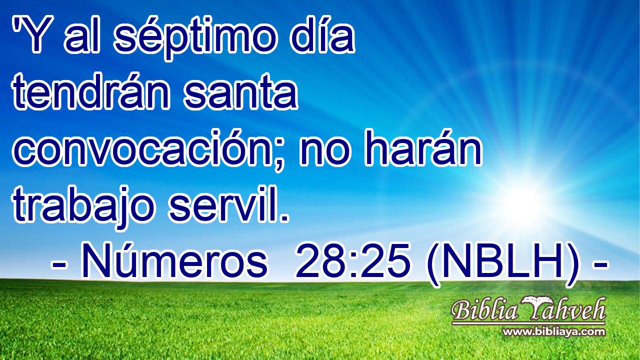  'Y al séptimo día tendrán santa convocación; no harán trabajo servil. 