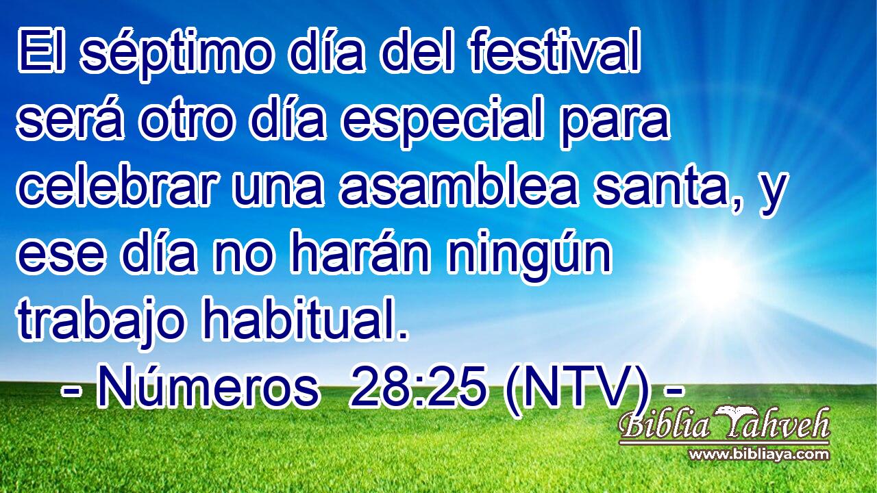 El séptimo día del festival será otro día especial para celebrar una asamblea santa, y ese día no harán ningún trabajo habitual.