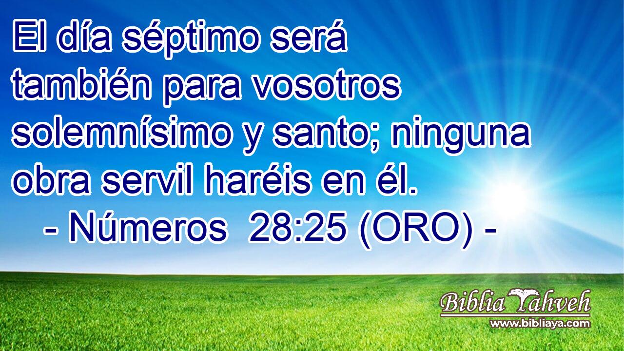  El día séptimo será también para vosotros solemnísimo y santo; ninguna obra servil haréis en él. 