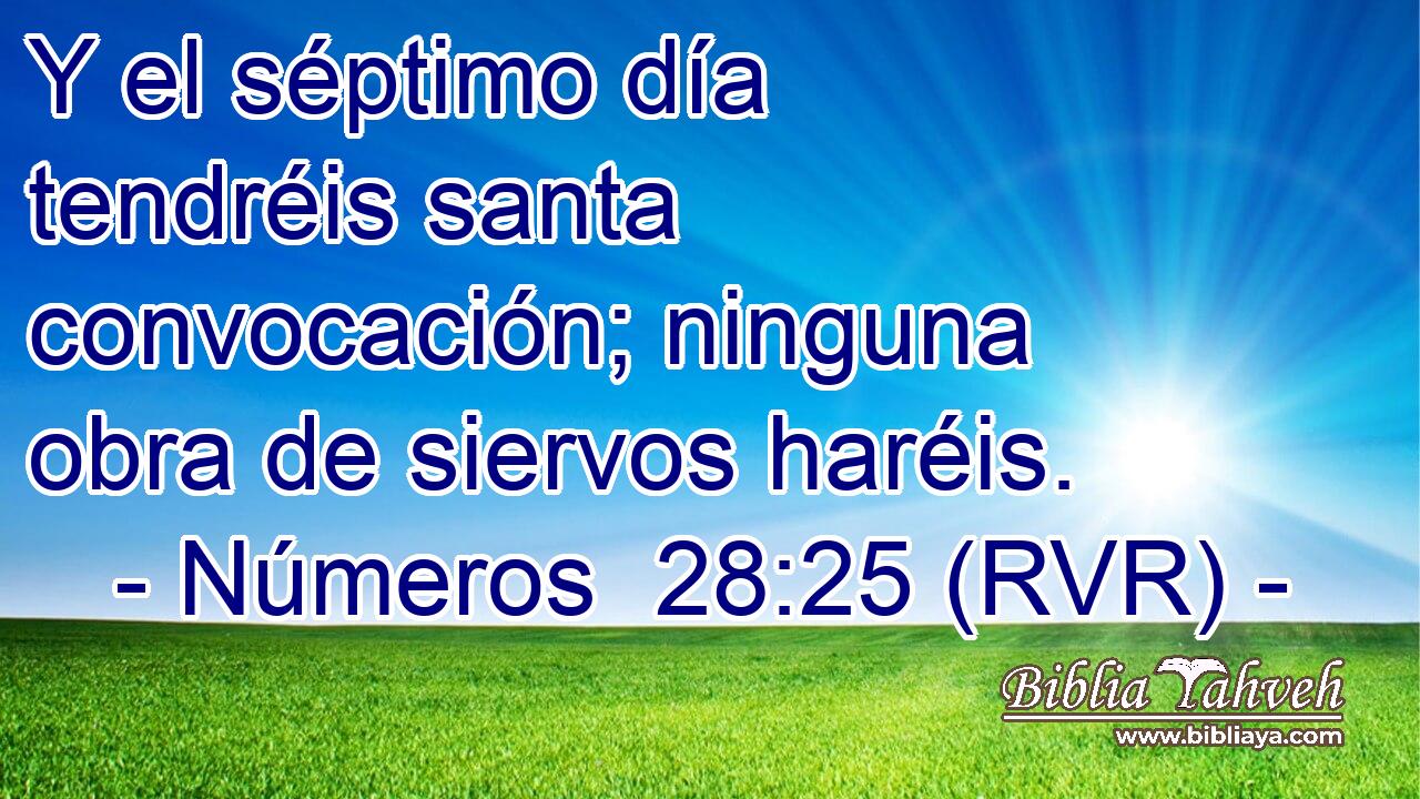 Y el séptimo día tendréis santa convocación; ninguna obra de siervos haréis.