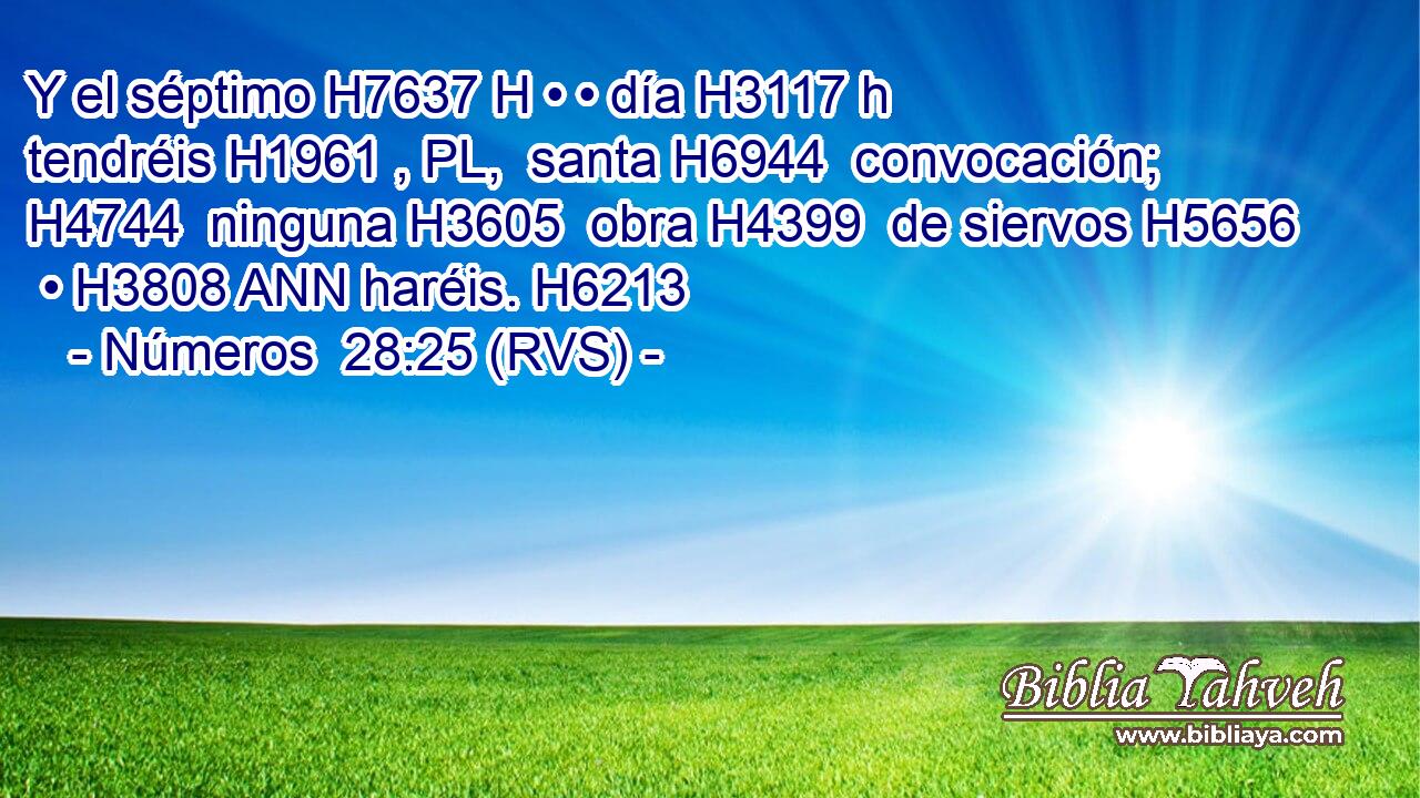 Y el séptimo H7637 H • • día H3117 h tendréis H1961 , PL,  santa H6944  convocación; H4744  ninguna H3605  obra H4399  de siervos H5656  • H3808 ANN haréis. H6213  