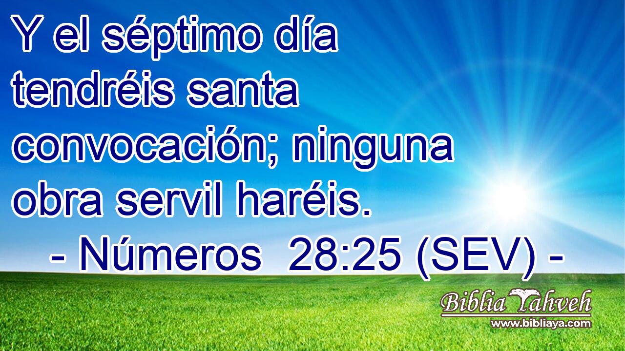 Y el séptimo día tendréis santa convocación; ninguna obra servil haréis.