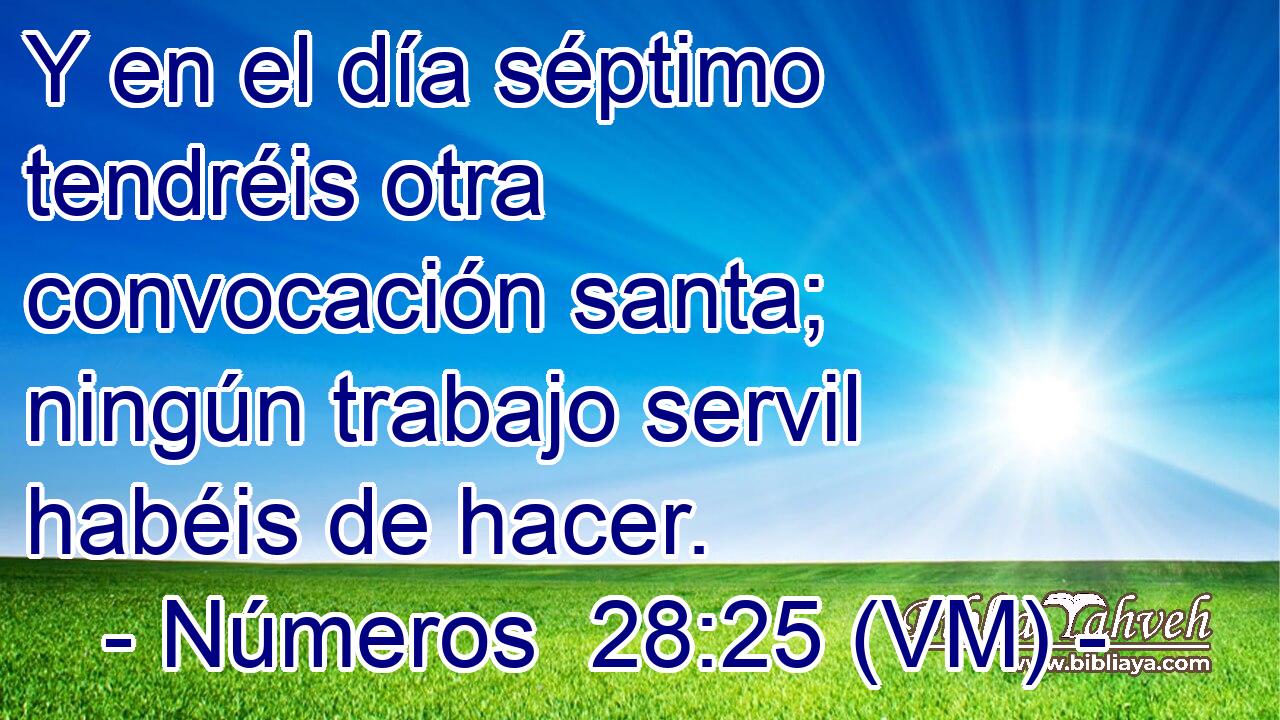  Y en el día séptimo tendréis otra convocación santa; ningún trabajo servil habéis de hacer. 