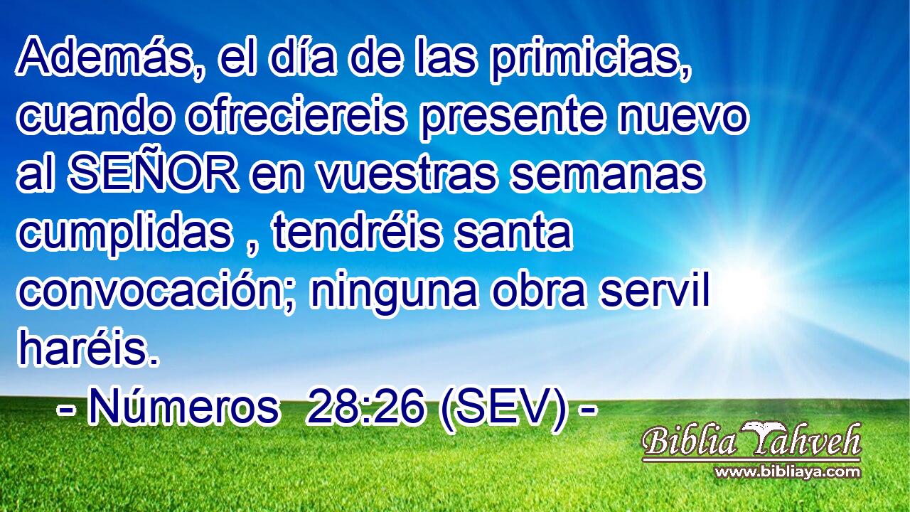 Además, el día de las primicias, cuando ofreciereis presente nuevo al SEÑOR en vuestras semanas cumplidas , tendréis santa convocación; ninguna obra servil haréis.