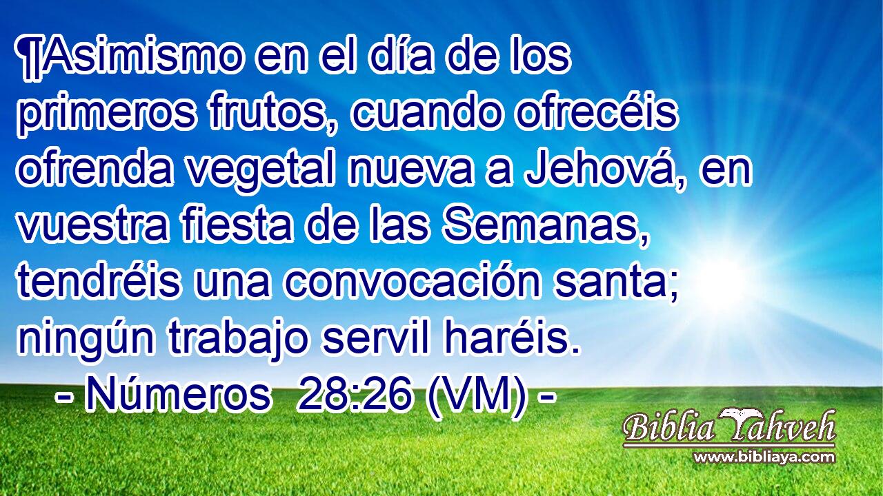  ¶Asimismo en el día de los primeros frutos, cuando ofrecéis ofrenda vegetal nueva a Jehová, en vuestra fiesta de las Semanas, tendréis una convocación santa; ningún trabajo servil haréis. 