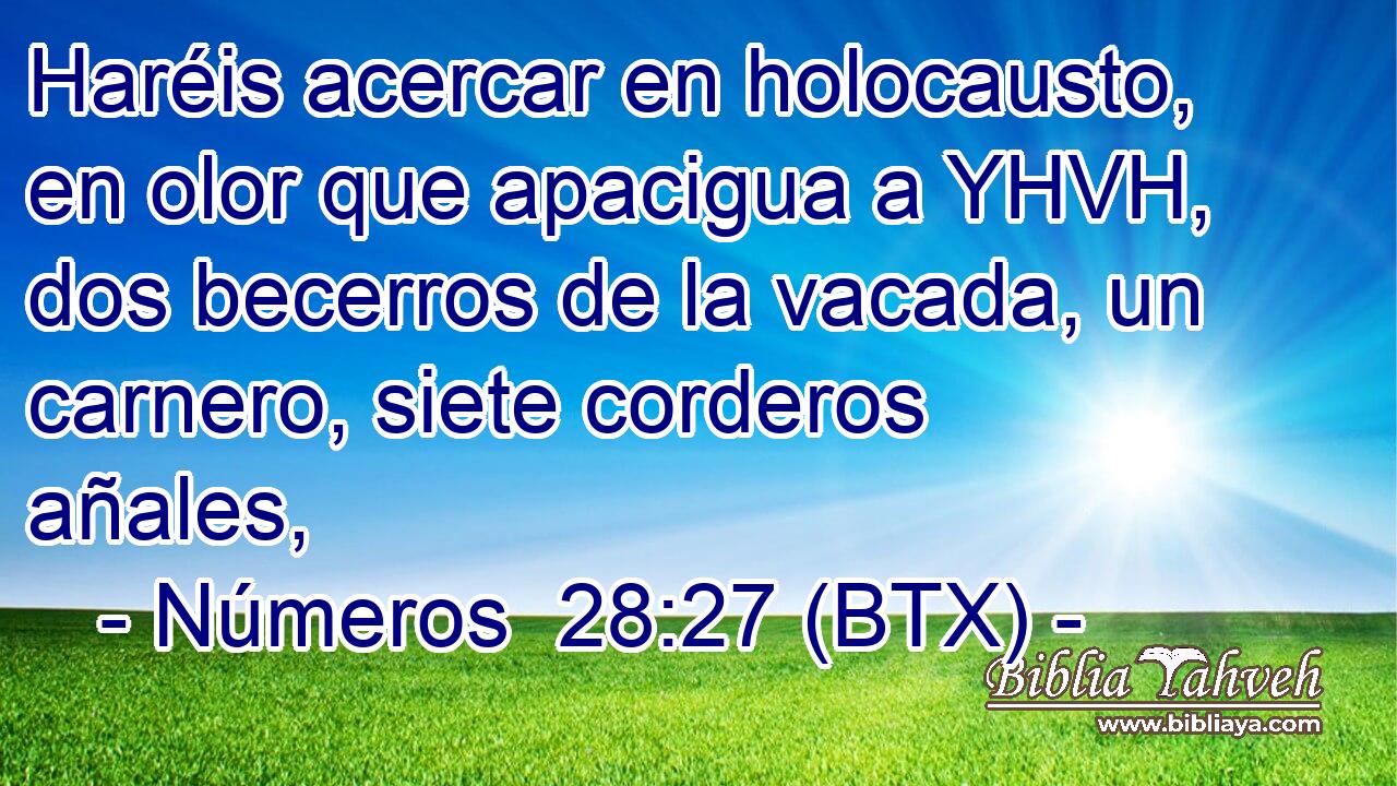 Haréis acercar en holocausto, en olor que apacigua a YHVH, dos becerros de la vacada, un carnero, siete corderos añales,