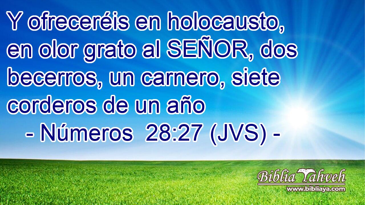 Y ofreceréis en holocausto, en olor grato al SEÑOR, dos becerros, un carnero, siete corderos de un año