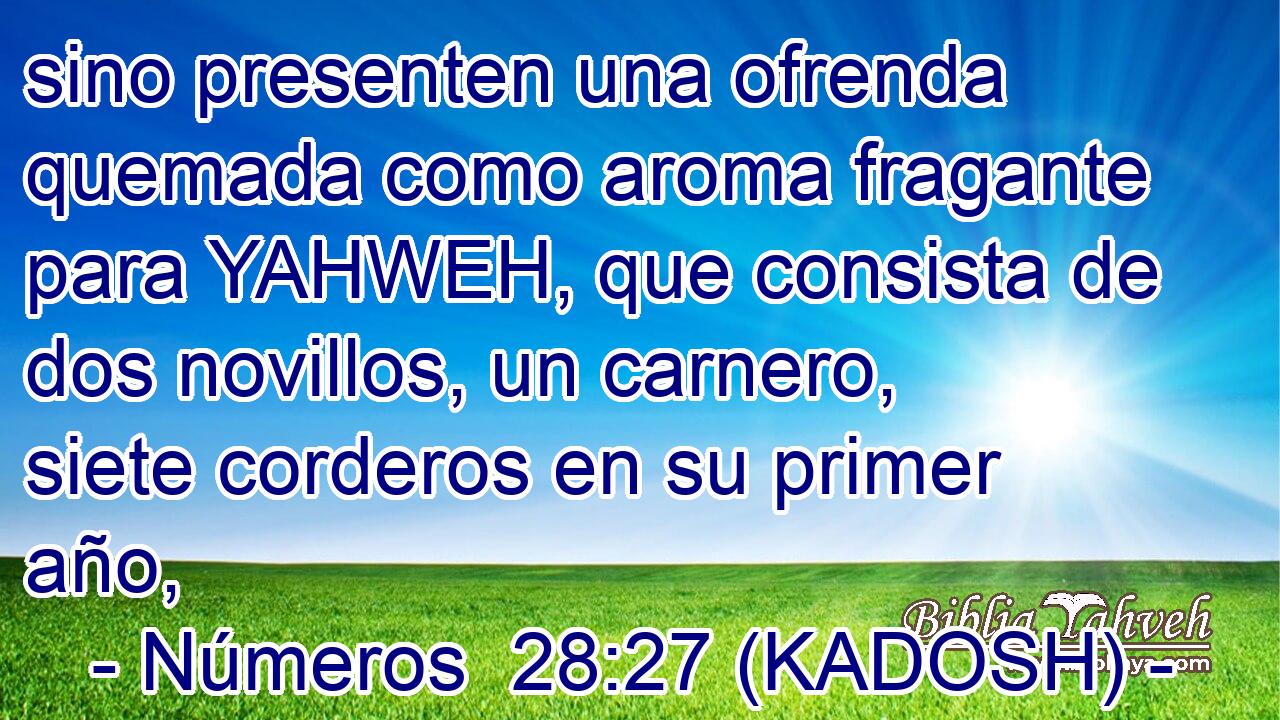  sino presenten una ofrenda quemada como aroma fragante para YAHWEH, que consista de dos novillos, un carnero, siete corderos en su primer año, 