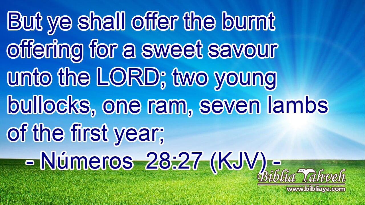 But ye shall offer the burnt offering for a sweet savour unto the LORD; two young bullocks, one ram, seven lambs of the first year;