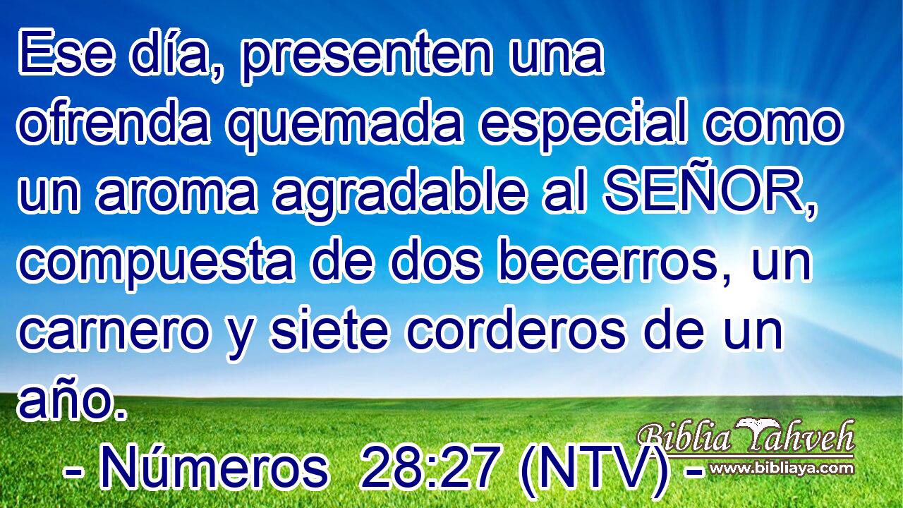 Ese día, presenten una ofrenda quemada especial como un aroma agradable al SEÑOR, compuesta de dos becerros, un carnero y siete corderos de un año.
