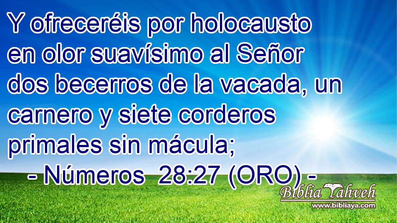  Y ofreceréis por holocausto en olor suavísimo al Señor dos becerros de la vacada, un carnero y siete corderos primales sin mácula; 