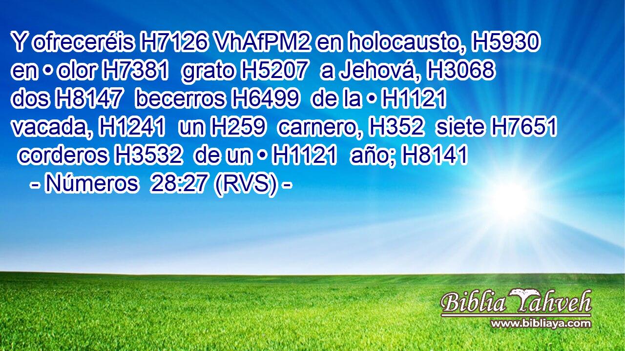 Y ofreceréis H7126 VhAfPM2 en holocausto, H5930  en • olor H7381  grato H5207  a Jehová, H3068  dos H8147  becerros H6499  de la • H1121  vacada, H1241  un H259  carnero, H352  siete H7651  corderos H3532  de un • H1121  año; H8141  