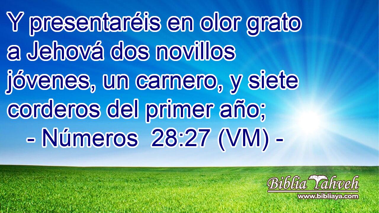  Y presentaréis en olor grato a Jehová dos novillos jóvenes, un carnero, y siete corderos del primer año; 