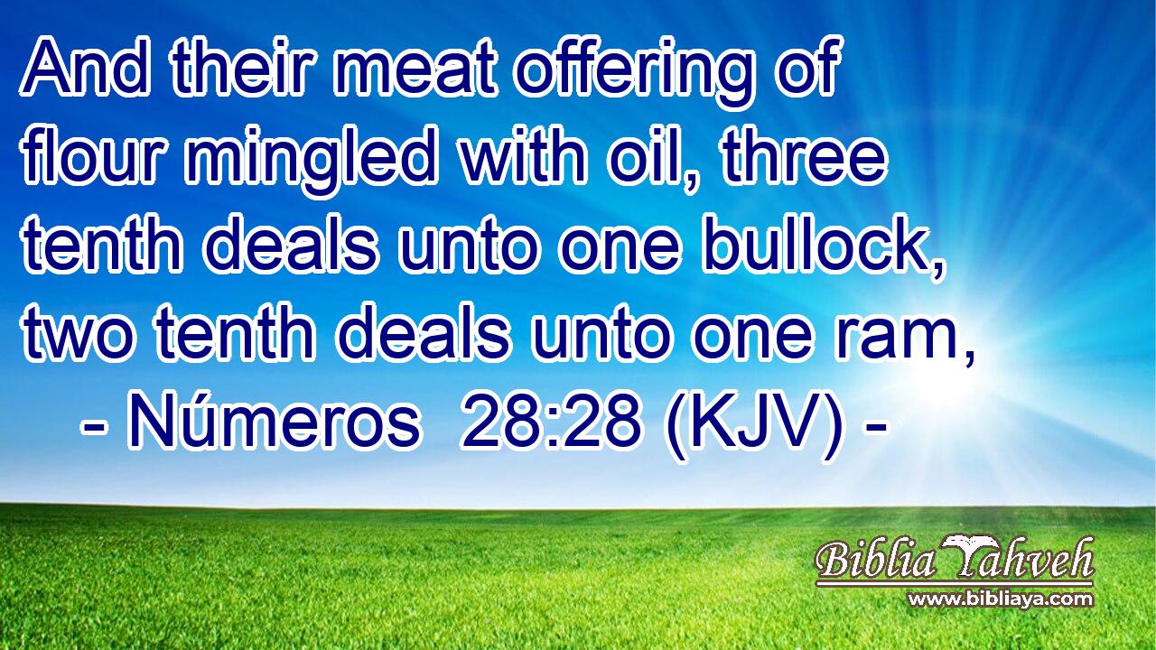 And their meat offering of flour mingled with oil, three tenth deals unto one bullock, two tenth deals unto one ram,