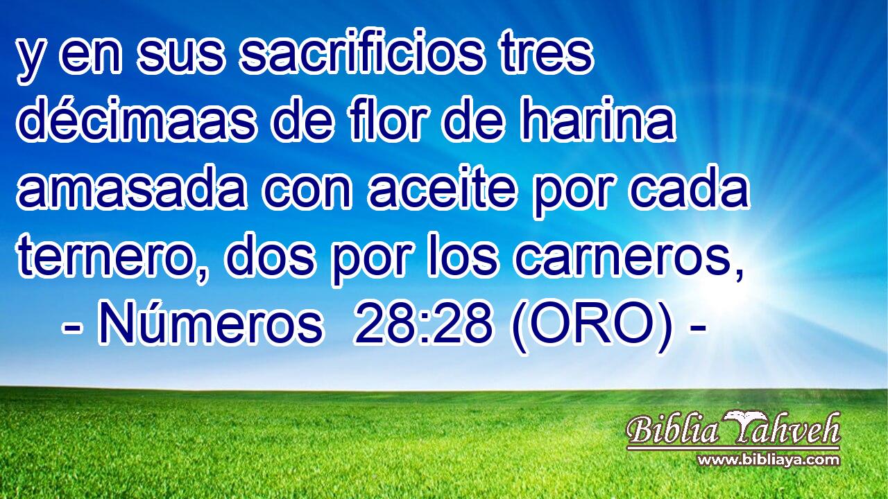  y en sus sacrificios tres décimaas de flor de harina amasada con aceite por cada ternero, dos por los carneros, 