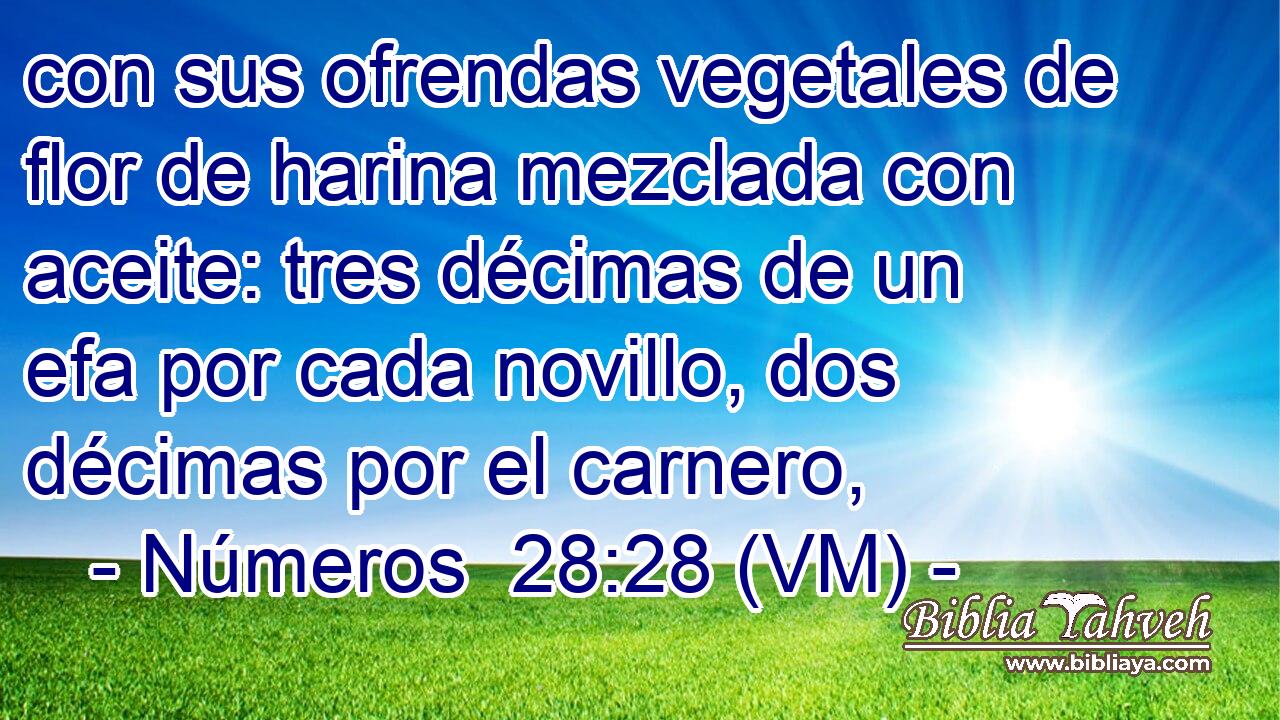  con sus ofrendas vegetales de flor de harina mezclada con aceite: tres décimas de un efa por cada novillo, dos décimas por el carnero, 