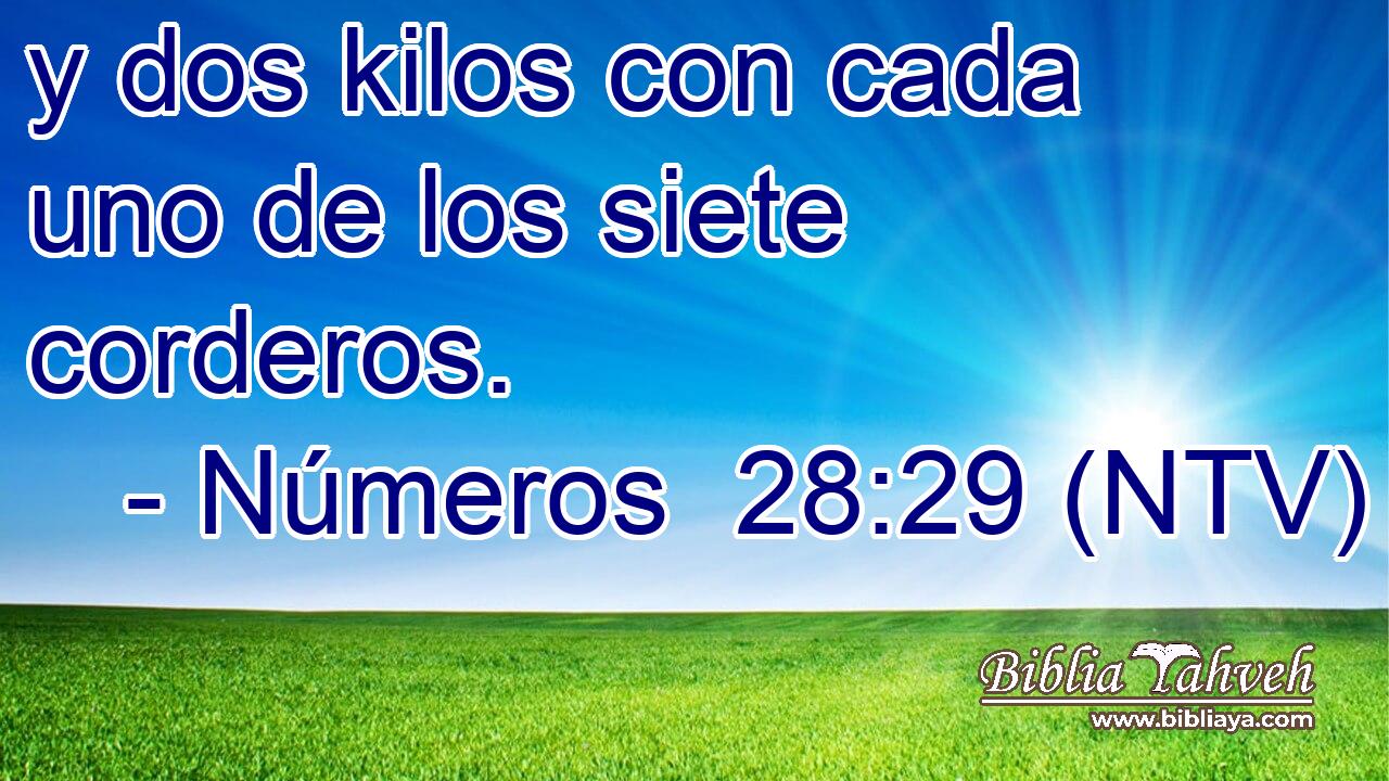 y dos kilos con cada uno de los siete corderos.