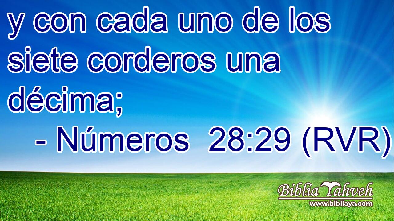 y con cada uno de los siete corderos una décima;