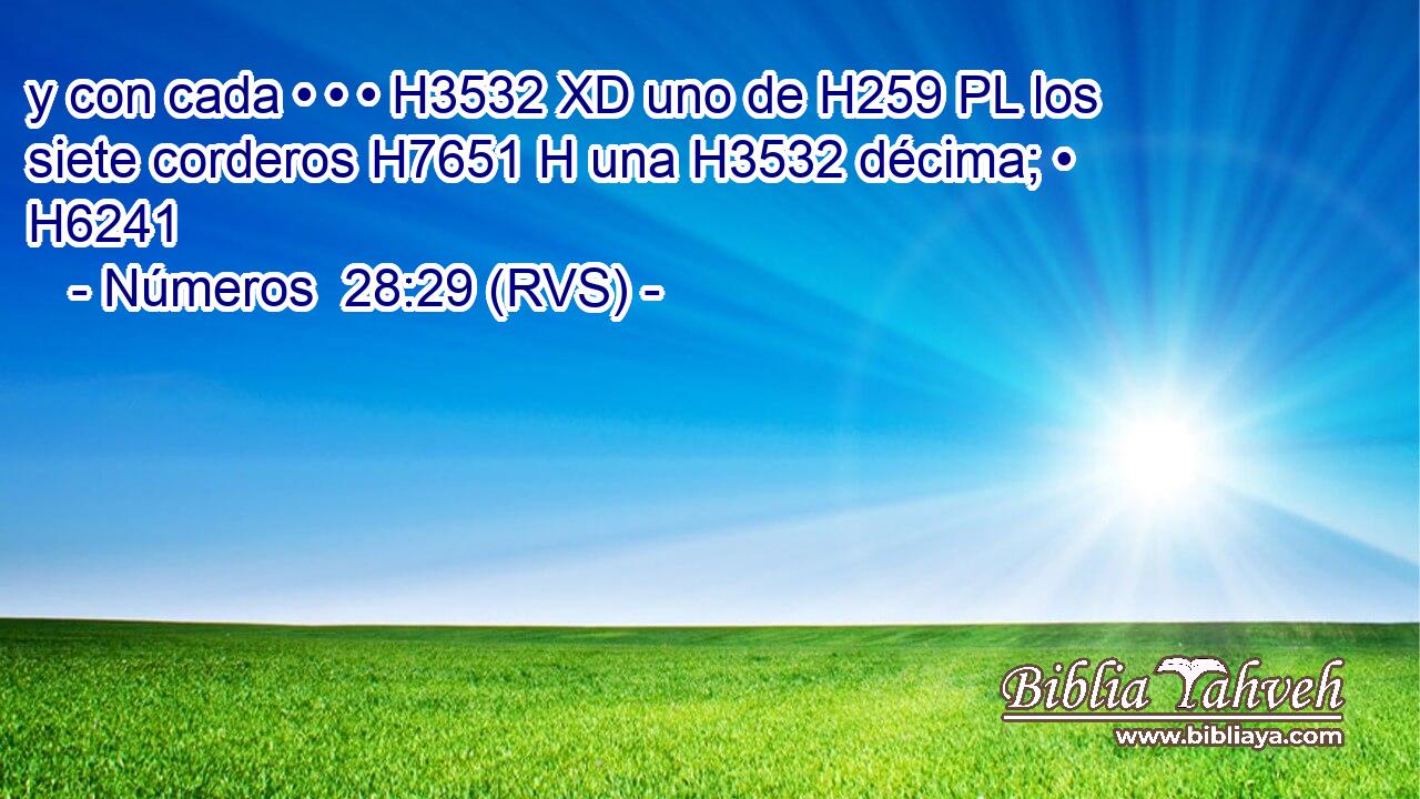 y con cada • • • H3532 XD uno de H259 PL los siete corderos H7651 H una H3532 décima; • H6241  