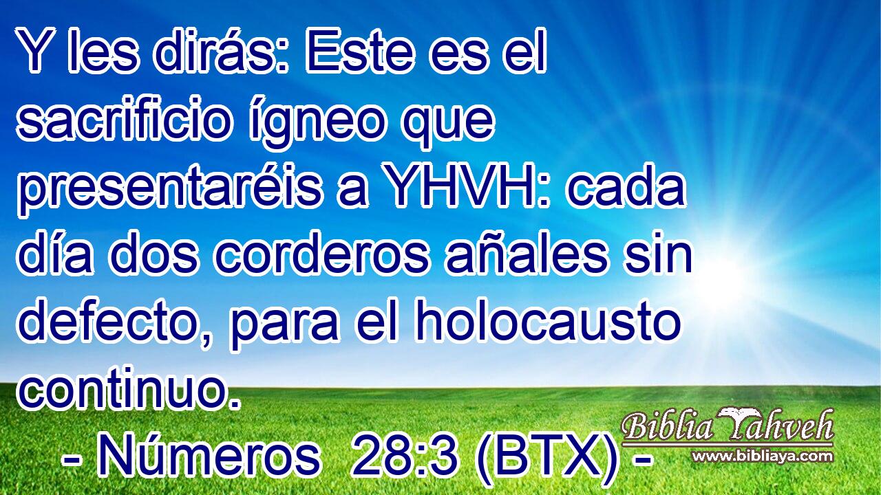 Y les dirás: Este es el sacrificio ígneo que presentaréis a YHVH: cada día dos corderos añales sin defecto, para el holocausto continuo.