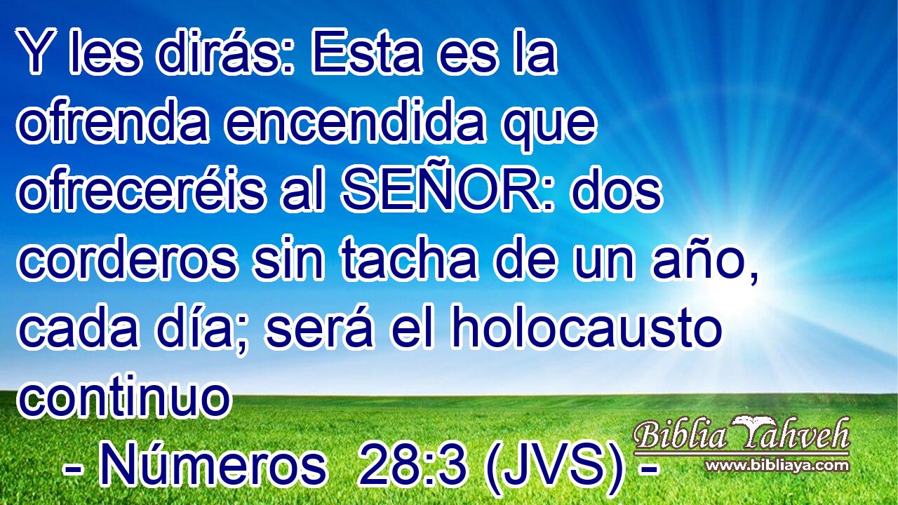 Y les dirás: Esta es la ofrenda encendida que ofreceréis al SEÑOR: dos corderos sin tacha de un año, cada día; será el holocausto continuo