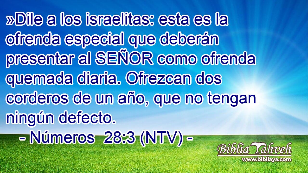 »Dile a los israelitas: esta es la ofrenda especial que deberán presentar al SEÑOR como ofrenda quemada diaria. Ofrezcan dos corderos de un año, que no tengan ningún defecto.