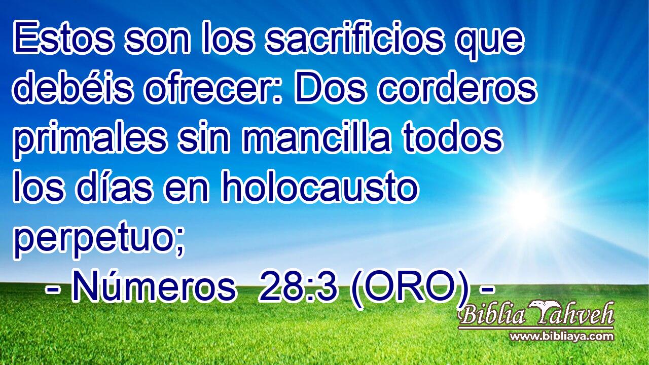  Estos son los sacrificios que debéis ofrecer: Dos corderos primales sin mancilla todos los días en holocausto perpetuo; 