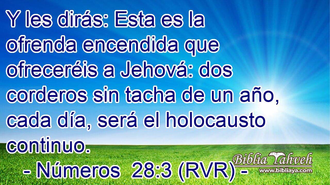 Y les dirás: Esta es la ofrenda encendida que ofreceréis a Jehová: dos corderos sin tacha de un año, cada día, será el holocausto continuo.