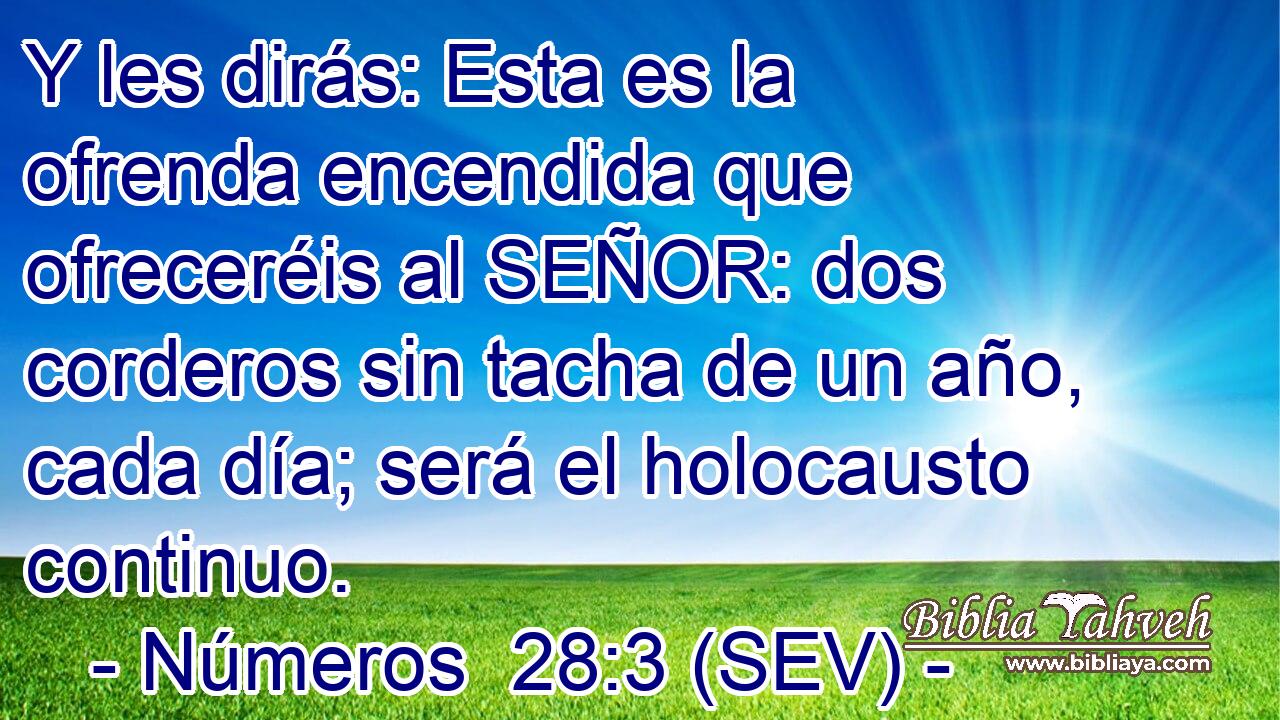 Y les dirás: Esta es la ofrenda encendida que ofreceréis al SEÑOR: dos corderos sin tacha de un año, cada día; será el holocausto continuo.