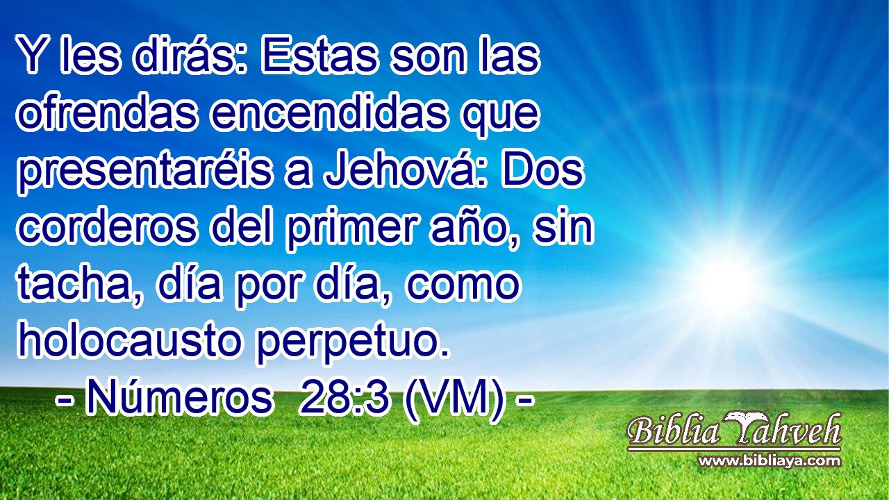  Y les dirás: Estas son las ofrendas encendidas que presentaréis a Jehová: Dos corderos del primer año, sin tacha, día por día, como holocausto perpetuo. 